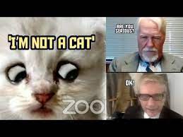 Roaring kitty, aka keith gill, is known on reddit as one of the. Zoom Cat Lawyer I M Not A Cat Video Gallery Know Your Meme
