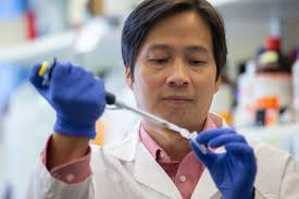 Study identifies potential microRNA target to overcome breast cancer  resistance