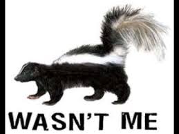 Skunks are poor climbers, so you may also want to consider building raised garden beds. How To Keep Skunks Away From Your Property Youtube