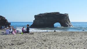 We did not find results for: Geological Outings Around The Bay Natural Bridges Kqed