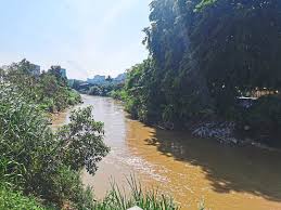Maybe you would like to learn more about one of these? Illegal Settlers Along Sg Langat Told To Vacate The Star