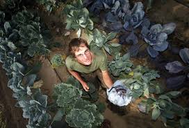 Yann Menard A Cogolin Sert Les Grands Chefs Il Foule Son Potager A Pied Nu Pour Mieux Sentir Sa Respiration Food Sens