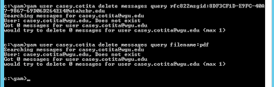 Trouble Finding Deleting Messages By Messageid Google Groups