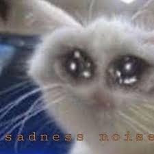 Pin On Reaction Memes