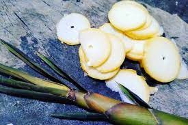 5 Cara Menghilangkan Bau Tak Sedap Dari Rebung Jadi Lebih Enak