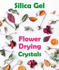 Next, slowly pour more crystals to fully cover the petals, making sure to also fill the area between each petal while retaining the flower's shape. Silica Gel Australia Posts Facebook