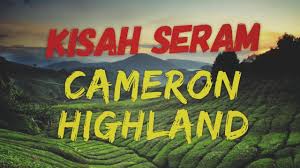 Book cameron highlands hotels online at cheap rates. Pasar Malam Golden Hills Cameron Highland By Bunny Maya86