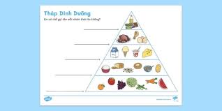 Phiếu Bài Tập Tháp Dinh Dưỡng - Twinkl