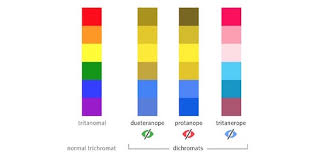 For colorblind people, it's their life. How To Design For Color Blindness By Usabilla Theuxblog Com