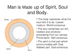 Body Soul Spirit Spirit Self Conscious Body