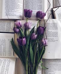 Pin On Book Library