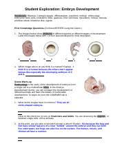 Tridimensional Visualization And Analysis Of Early Human Development: Cell