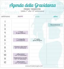 Cara futura mamma, la corretta alimentazione in gravidanza rappresenta uno dei principali fattori che influenza la tua salute e quella del bambino. Pin Su Gravidanza Tutte Le Informazioni Utili