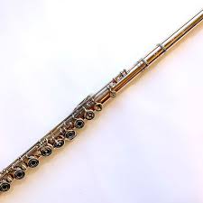 Pin By Nikki On Flute In 2020 Flute Flutist Instruments