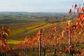 Book now your hotel in ipsheim and pay later with expedia. Markt Ipsheim Vgn