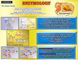 Enzymes Inhibitions Lecture Chart