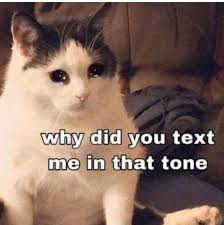 S P I C Y H A M B S On Instagram Ever Gotten Your Feelings Get Pre Hurt Before Getting Actually Hurt Really Funny Memes Cute Love Memes Cute Memes