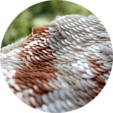 Advertising agricultural greenhouses bone meal aluminum composite panels other international settlement services collection. Hand Embroidery Exporters In Mumbai India Source Hand Beading Embroidery For Garments Accessories Imroz Fashions