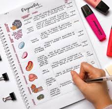 Un día jugando basta puse zebra (porque era la letra z) y todos me dijeron que estaba mal, pero porque yo juraba que así se escribía también en español. 5 Cosas Que La Morra De Los Plumones Hace Si O Si Guia Universitaria