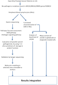 Project Flow Chart After Review Of Family History And