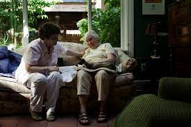 Unlike the veterinary setting, you decide what environment is best for your pet's passing—in his bed, on your lap, under a backyard tree, surrounded by favorite. In Home Pet Euthanasia Offers Peaceful And Dignified Parting Pennlive Com