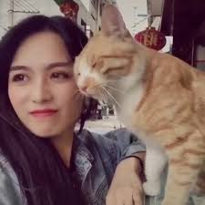 Kitty love is the best love