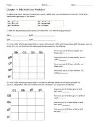Some of the worksheets for this concept are chapter 10 dihybrid cross work, dihybrid cross, dihybrid cross work, dihybrid crosses work and answers, dihybrid punnett square practice, punnett squares dihybrid crosses, dihybrid cross name. 73 Science Experiments Ideas Science Experiments Science Science For Kids