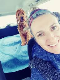 Andrea's Animal Care LLC