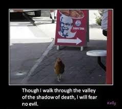 Unvirtuous Abbey On Twitter Funny Pictures Funny Captions Funny Animals