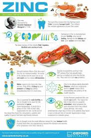Pin By Lori Hawley Jones On A Herb Vitamin Definition Healing Food Nutrition Health And Nutrition