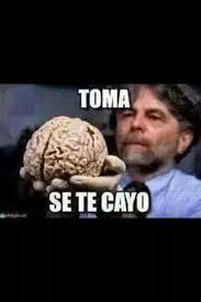 Cerebro New Memes Memes Mexicanos Memes Funny Faces
