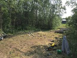 Image result for site:byggahus.se trädfällning