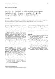 Image result for Telosma africana