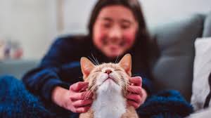 ‪Cats became our companions way later than you think - BBC News‬‏