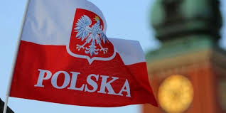 Флаг польши имеет долгую историю. V Varshave Zaderzhali Troih Nemcev Rastoptavshih Polskij Flag Novosti Politiki Ruposters Ru