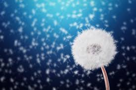 Cute Short Inspirational Quotes Updated 2021 Unlike other literary tools quotes, and short quotes, in particular, give you the ability to concentrate excellent quotes about life to inspire anyone to live positively.