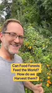 Can we make Permaculture and food forest farms? If we do, how do we harvest  them? Some people told me “IT’S IMPOSSIBLE!!” Well…