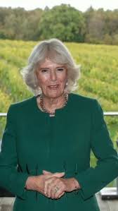 Royalcity | Camilla Forces Catherine To Change Her Name, But William Intervenes #katemiddleton #catherine #princewilliam #princessofwales #lilibet... | Instagram