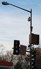 Animal kingdom cell phone tower. Surveillance Wikipedia