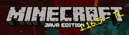 Our free minecraft server plans are the ultimate entry level service. Minecraft 1 16 5 Java Edition Download