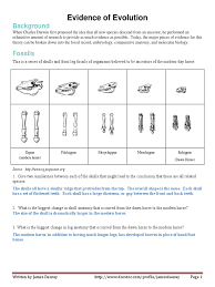 Some of the worksheets for this concept are patterns of evolution, tcss biology unit 4 evolution information, lesson 3 patterns of natural selection, section 174 patterns of evolution, evolution by natural selection work, evolution unit review work, pat terns and processes esson getting started. Evidence Of Evolution Answer Key Docx Anatomy Organisms
