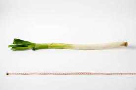 Huge collection, amazing choice, 100+ million high quality, affordable rf and rm images. Scallion å¤§è'± Omnivore S Cookbook