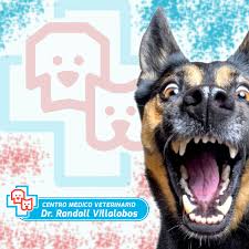 Centro Médico Veterinario Dr. Randall Villalobos