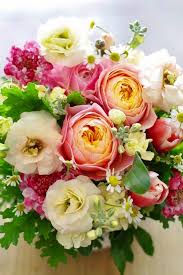 A delicate looking and striking flower which is excellent for garden bedding. Pretty Spring Flowers Mazzo Di Fiori Fiori Colorati Fiori Freschi