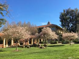 Maybe you would like to learn more about one of these? Malus Apple Crab Apple Trees Of Stanford Environs