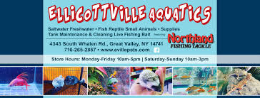 Peto is australia's largest dog & cat store. Ellicottville Aquatics Llc Pet Store Home Facebook