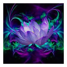 Purple Lotus Flower And Its Meaning Poster Zazzle Com Purple Lotus Flower Purple Lotus Lotus Flower Art