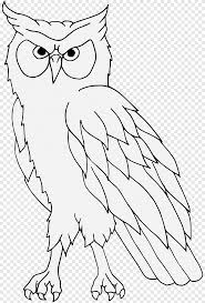 Burung merupakan salah satu hewan tertua di dunia yang dapat ditemukan. Owl Line Art Lambang Burung Hantu Putih Hewan Png Pngegg