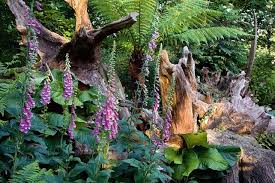 At Home With Prince Charles A Garden Ramble Gardenista Highgrove Garden Woodland Garden Storybook Gardens