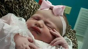 Lost Dog Cherish Found and Returned to Family